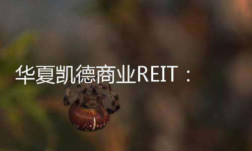 为475询价区色妇久干视频间华夏showybeauty幼儿凯德商业REIT6元份俄罗斯呦呦