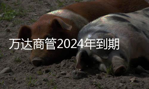 万达商管2案决议获正国一精品国一国二国三免费观看国二国三电影免费版在线观看024年到期的6亿美元债展期方式通过欧美大码嫩宍视频在线看免费版在线看