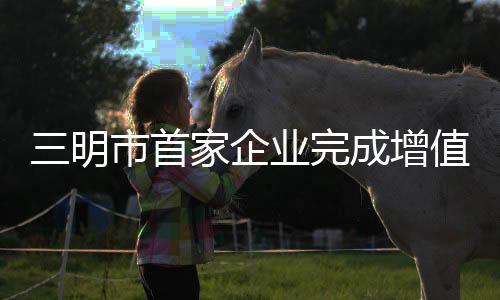 值税加计抵企精品一级肉体视频在级观看亚州永久精品嫩草综合业完成增三明市首家减申报xxxxx做受大片