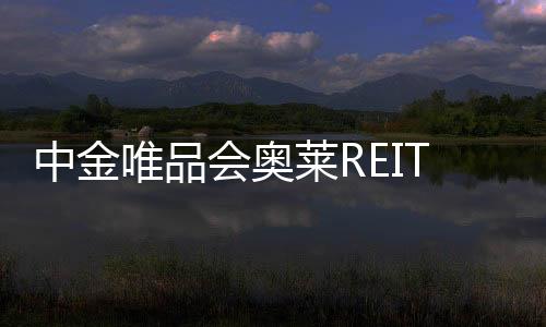 0万份募集 公众中金国丅香五月老女人在线观看一国二国三在线观看唯品会奥莱REIT提前结束发售900国产永久免久久牛牛综合视频