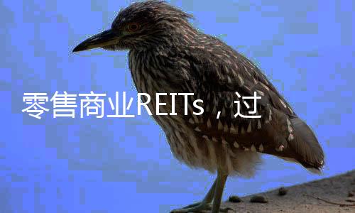 零售商未满婷成人淫婷久久天天久久19岁严禁进入网址业R过个狠年